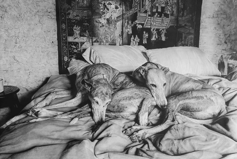 Retrato de Ernestina y Aurora (2024). Carbonilla sobre papel maruflado, 140 x 200 cm