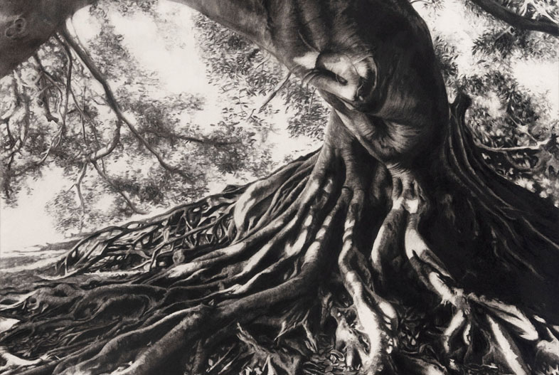Retrato de gomero (2022). Carbonilla sobre papel maruflado, 200 x 140 cm
