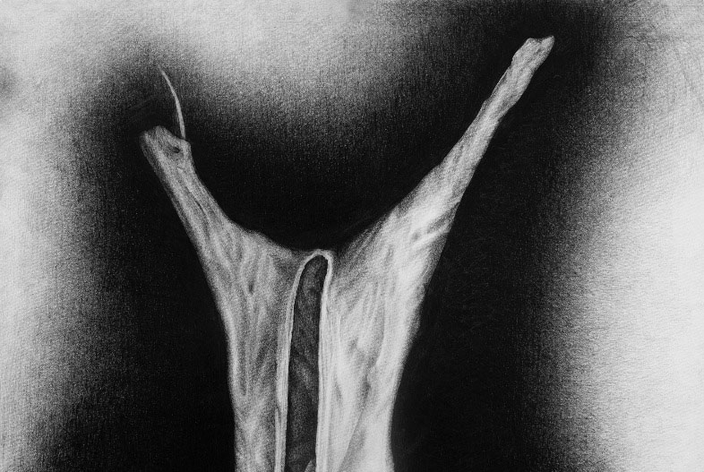 Res (2018). Carbonilla sobre papel, 140 x 100 cm