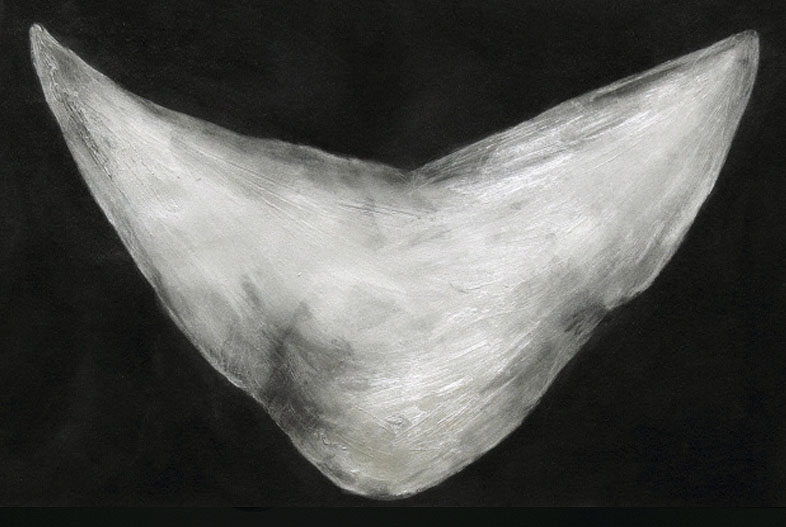 [untitled] (2013). Graphite and charcoal on paper