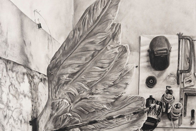 Wing (2022). Charcoal on marouflage paper, 100 x 70 cm