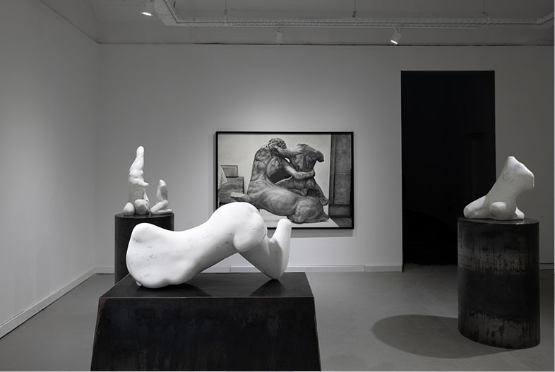 Salto al potro. Exhibition view.